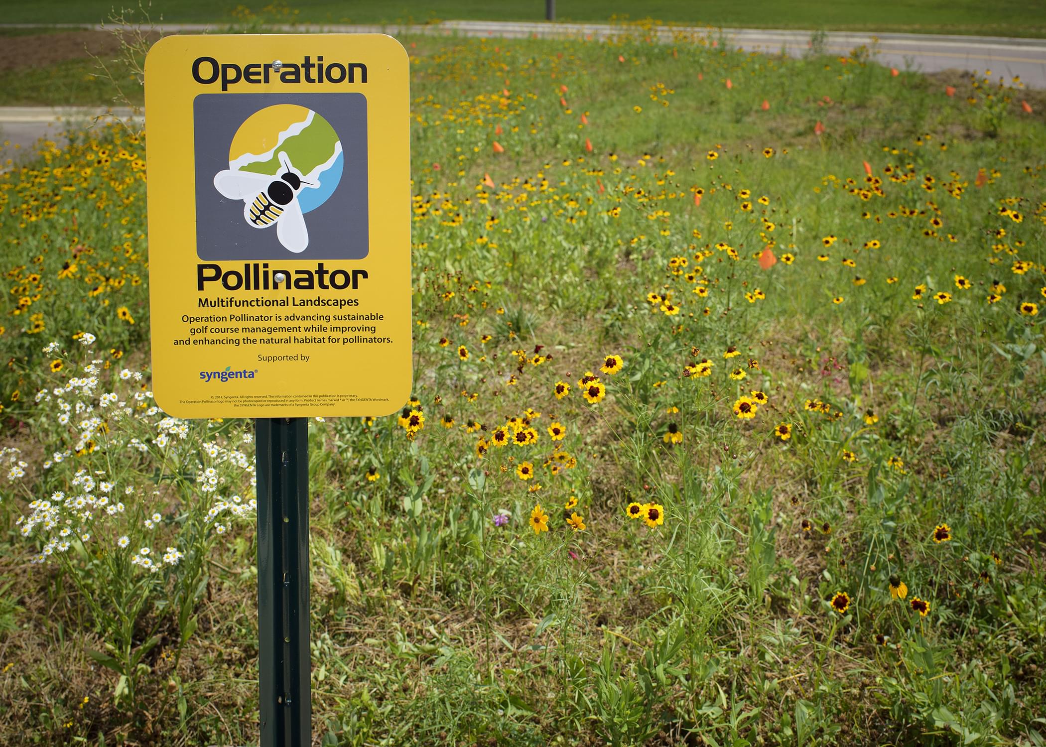 Operation Pollinator